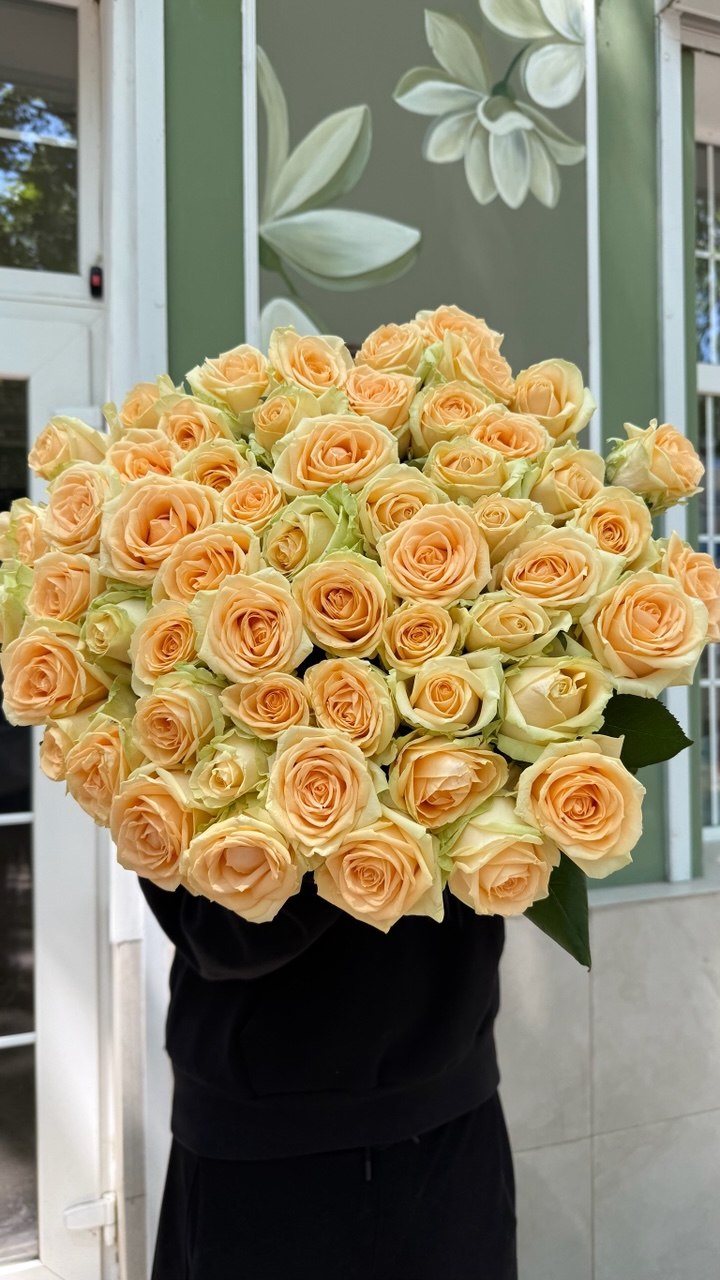 51 персикова троянда