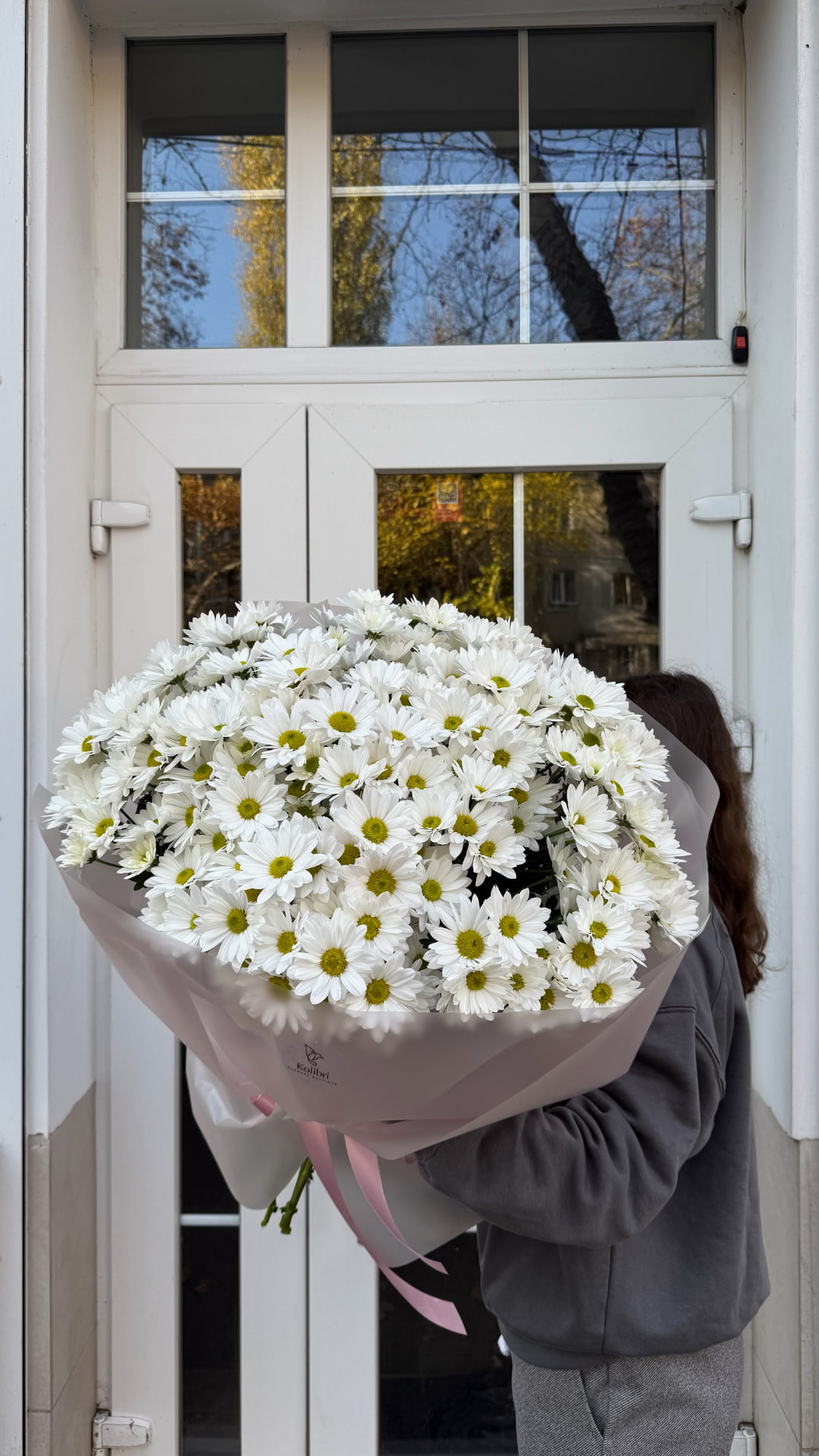 Велика ромашкова хризантема